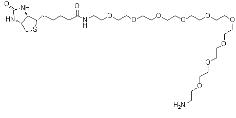 O-(2-Aminoethyl)-O'-[2-(biotinylamino)ethyl]octaethylene glycol molecular structure (CAS 960132-48-3)