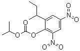 Dinobuton molecular structure (CAS 973-21-7)