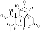 结构式 CAS# 981-15-7, 臭椿酮